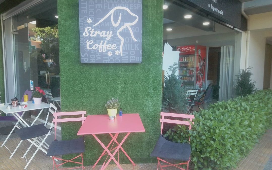 Το Stray Coffee προσφέρει και κάτι πολύ σημαντικότερο από καφέ και σνακ