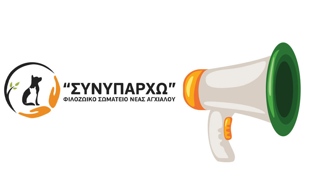 Δελτίο Τύπου 13/11/25