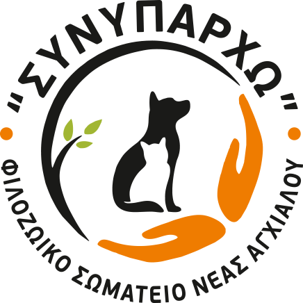 synyparxo logo full circle