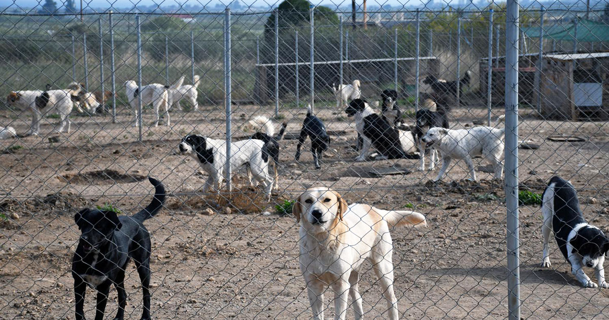 apologismos-2025-img apologismos 2025 img